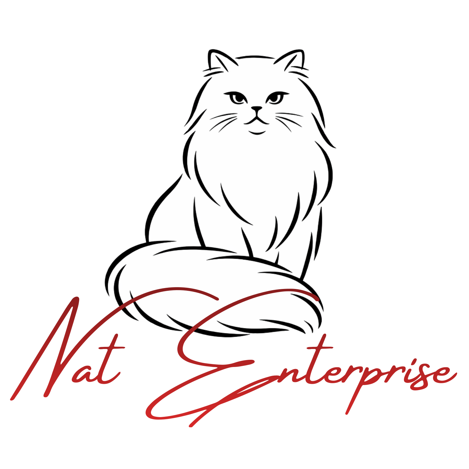 Nat Enterprise
